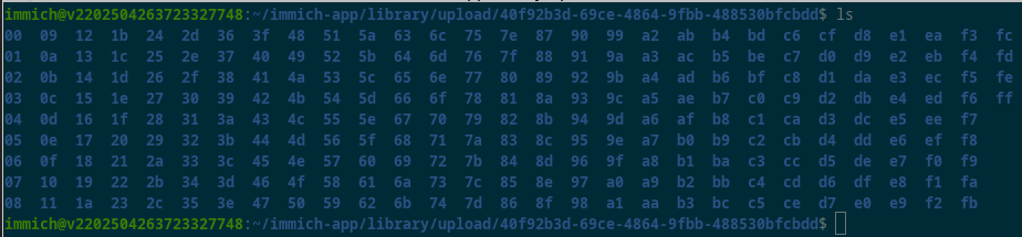 Immich nested directories